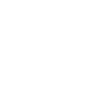 Legales Fast Check CL